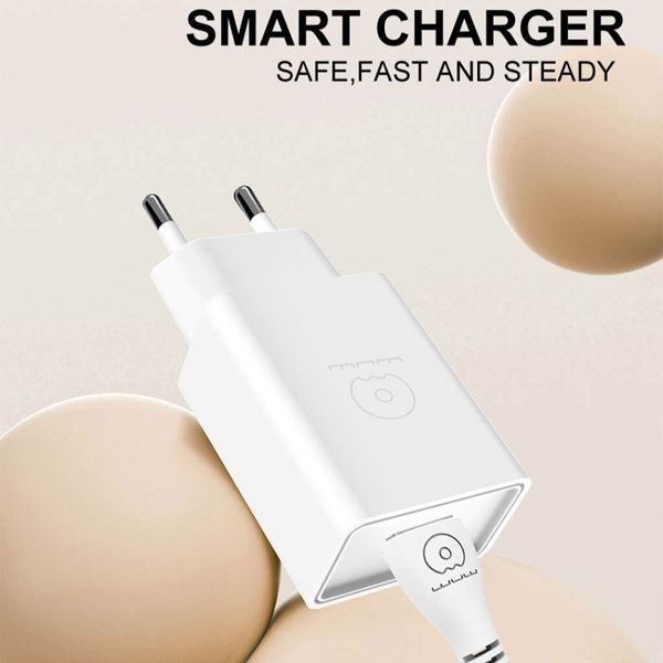 Сетевое зарядное устройство с кабелем WUW-T82 Single USB home charger set micro