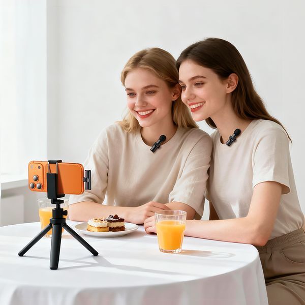 Беспроводная микрофонная система BOROFONE BFK16A Winner dual-mic (Type-C) Black