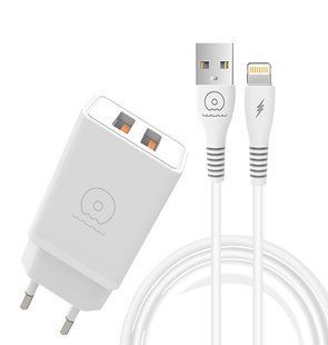 Сетевое зарядное устройство с кабелем WUW-T55 2USB/3.1A set IP