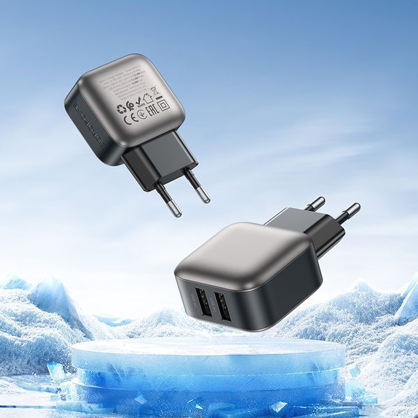 Сетевое зарядное устройство BOROFONE BAS51A Absolute dual-port charger Black