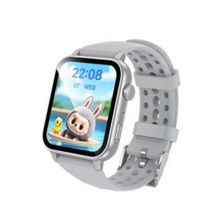 Смарт-часы BOROFONE BD15 46mm. 200 mAh. IP67 Smart watch(call version) Silver