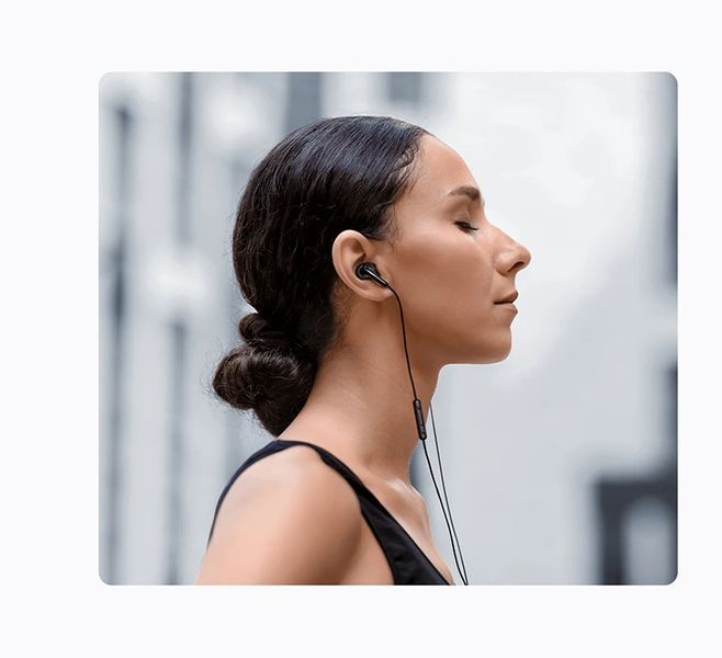 Наушники с микрофоном Xiaomi Type-C Earphones Black