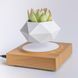 Магнитный левитационный горшок для растений HCNT Magnetic Levitating Pot M10-FP Wood Grain