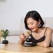 Магнитный левитационный горшок для растений HCNT Magnetic Levitating Pot M10-PZ1 Black
