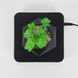 Магнітний левітаційний горщик для рослин HCNT Magnetic Levitating Pot M10-GW4 Black