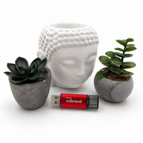 Флэш-накопитель Wibrand USB 3.2 Gen1 Ladybug 128GB Red