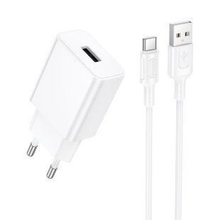 Сетевое зарядное устройство BOROFONE BA110A Lemi single port charger set (Type-C) (EU) White