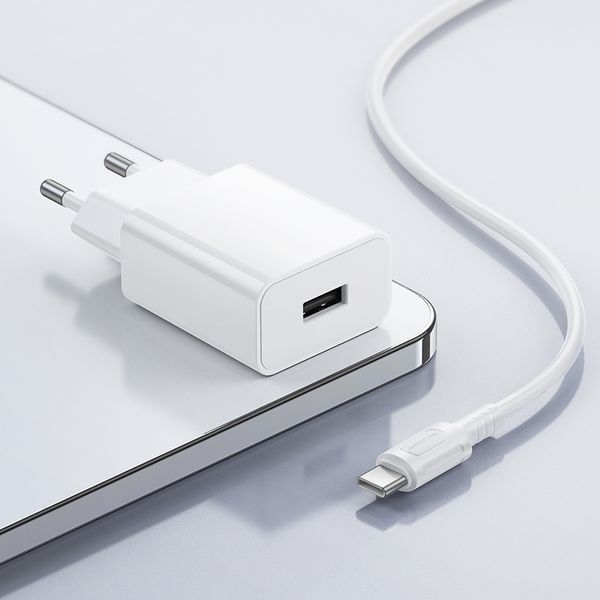 Сетевое зарядное устройство BOROFONE BA110A Lemi single port charger set (Type-C) (EU) White
